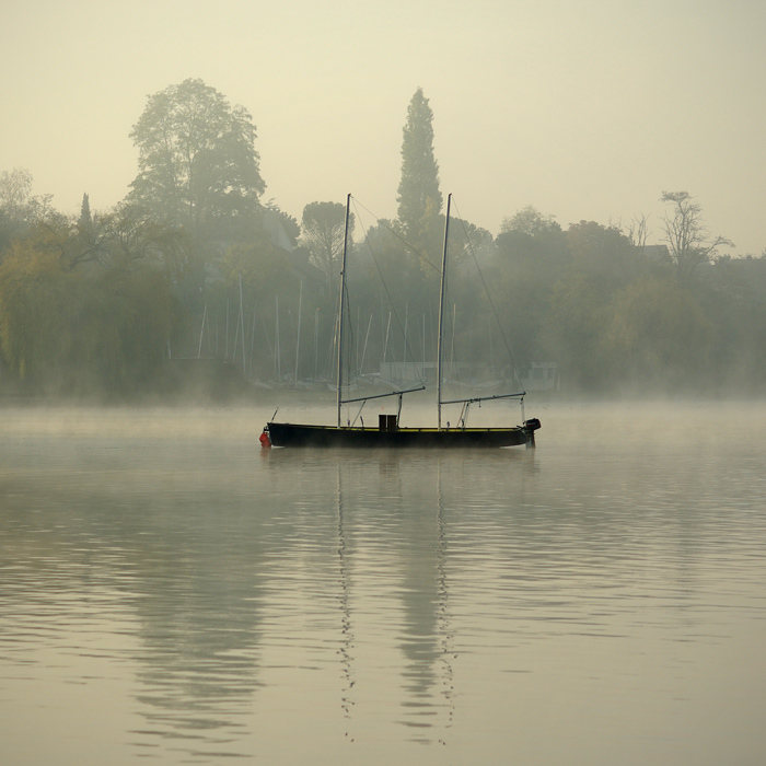 matin brumeux au lac de Miribel-Jonage