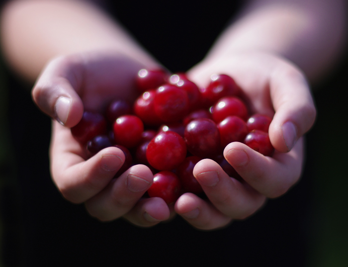 les cerises
